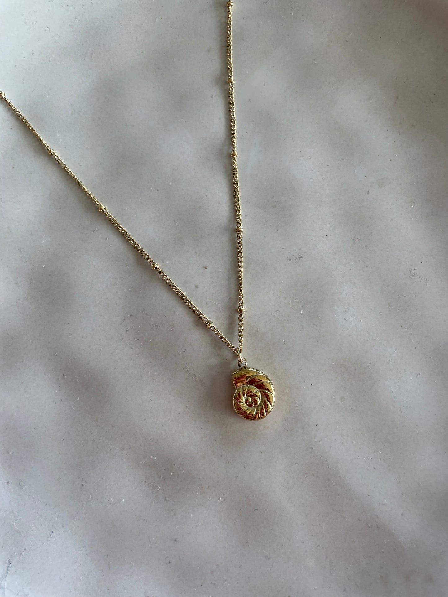 Long shell neckalce gold